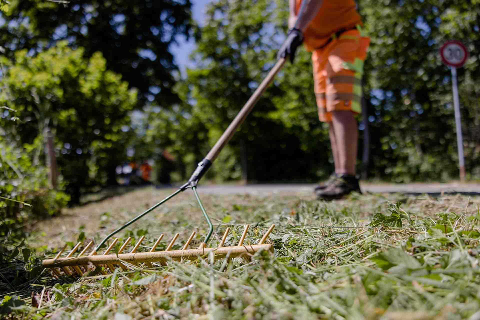 Nahaufname eines Mitarbeiters der geschnittene Rasenfläche mit einem Rechen bearbeitet