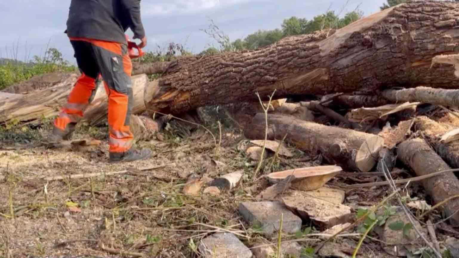 Mitarbeiter der Stadtwerke zerkleinert einen umgestürzten Baum